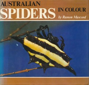 画像1: Australian Spiders in Colour