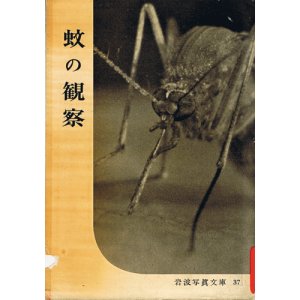画像: 蚊の観察