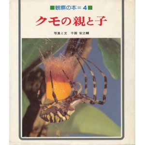 画像: クモの親と子　観察の本４