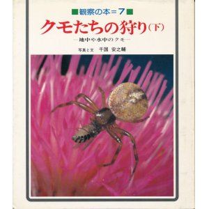 画像: クモたちの狩り（下）　観察の本７
