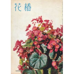 画像: 花椿　昭和31年2月号