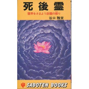 画像: 谷口雅宣　死後霊　霊界をさまよう怨霊の祟り