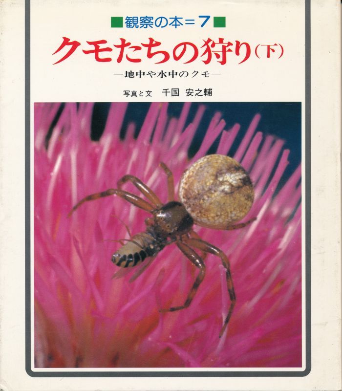 画像1: クモたちの狩り（下）　観察の本７